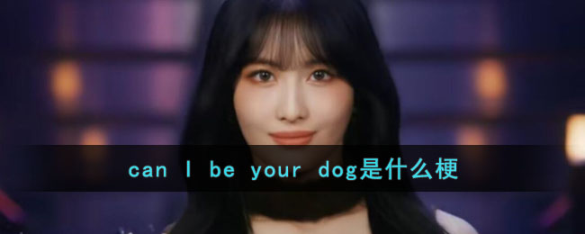 can I be your dog是什么梗